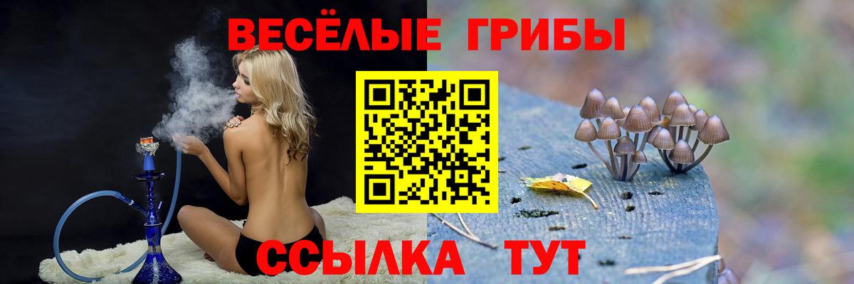 Галлюциногенные грибы прущие грибы  Вход с VPN  Осинники 